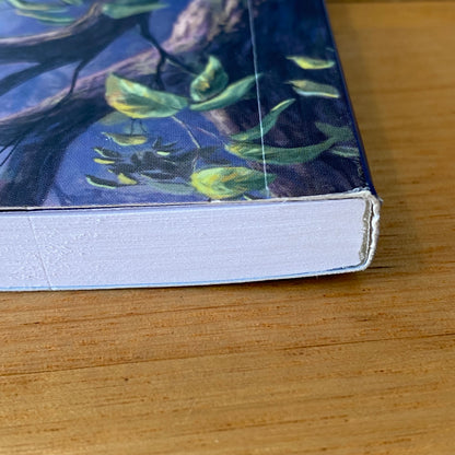 Disney Dreams Collection Colouring Book Thomas Kinkade Paperback 2017 GD