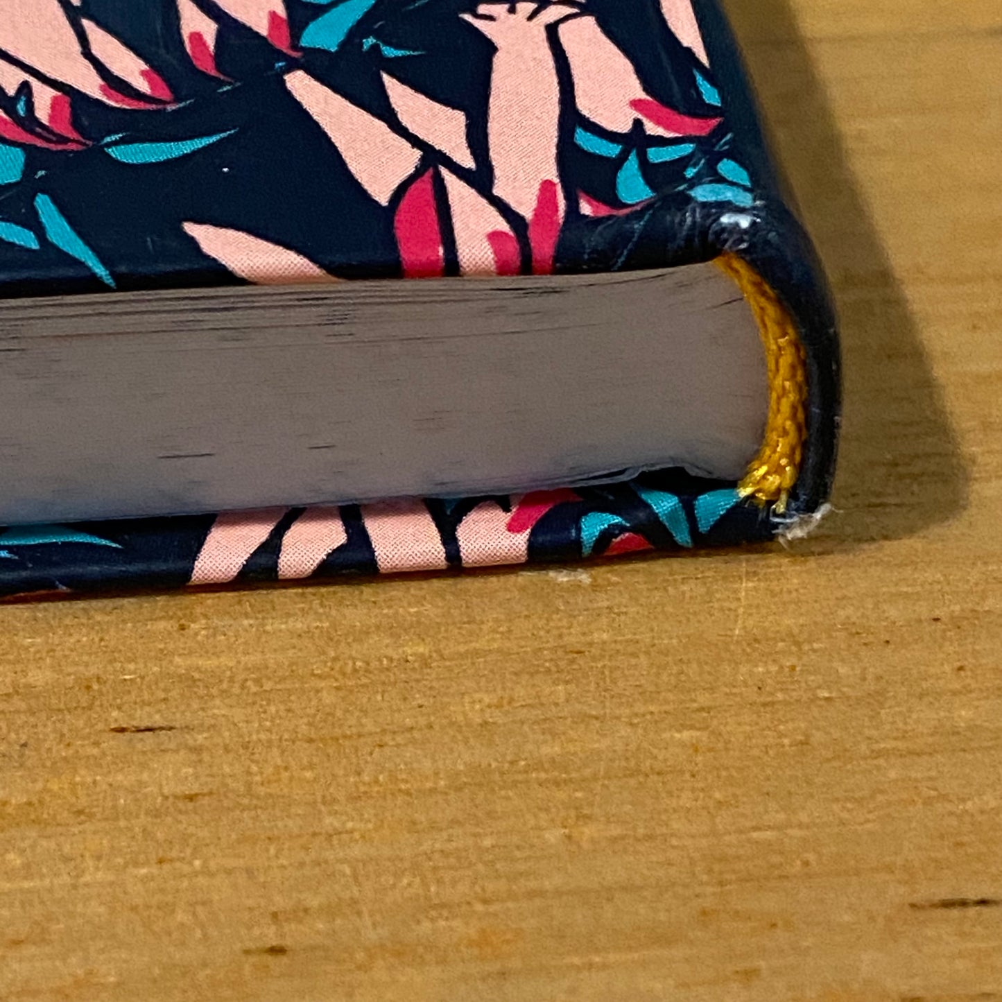 Rewilding Kids Australia Melissa Mylchreest A Mindful Activity Book Paperback 2022 GD