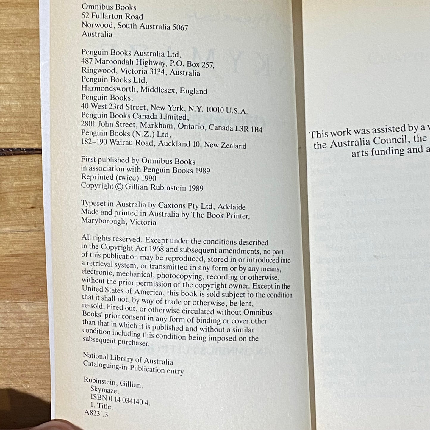 Skymaze by Gillian Rubinstein Science Fiction Paperback 1990 GD