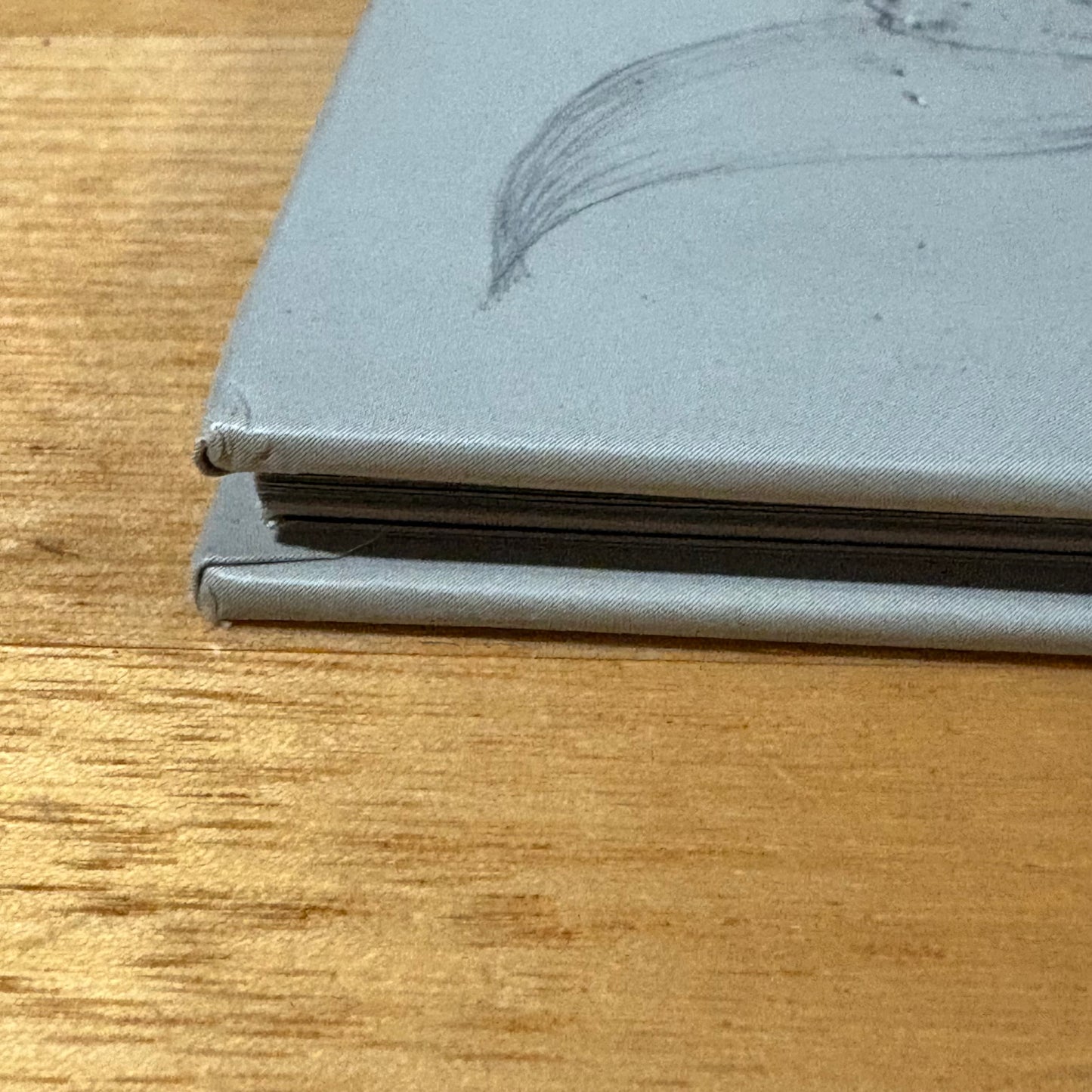 Dreamwalker by Isobelle Carmody and Steven Woolman Hardcover Illustrated GD