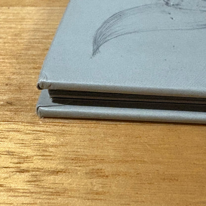 Dreamwalker by Isobelle Carmody and Steven Woolman Hardcover Illustrated GD