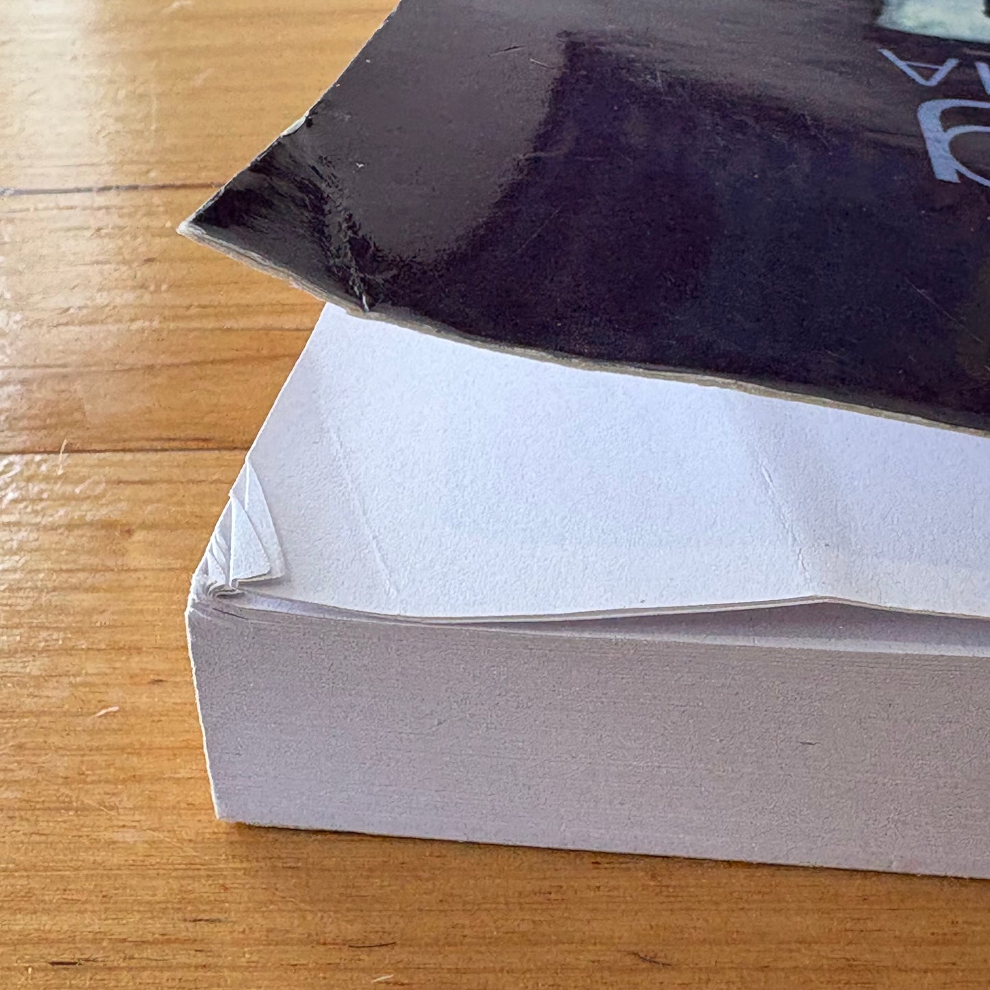 Acting in Person and in Style in Australia Paperback 2011 GD