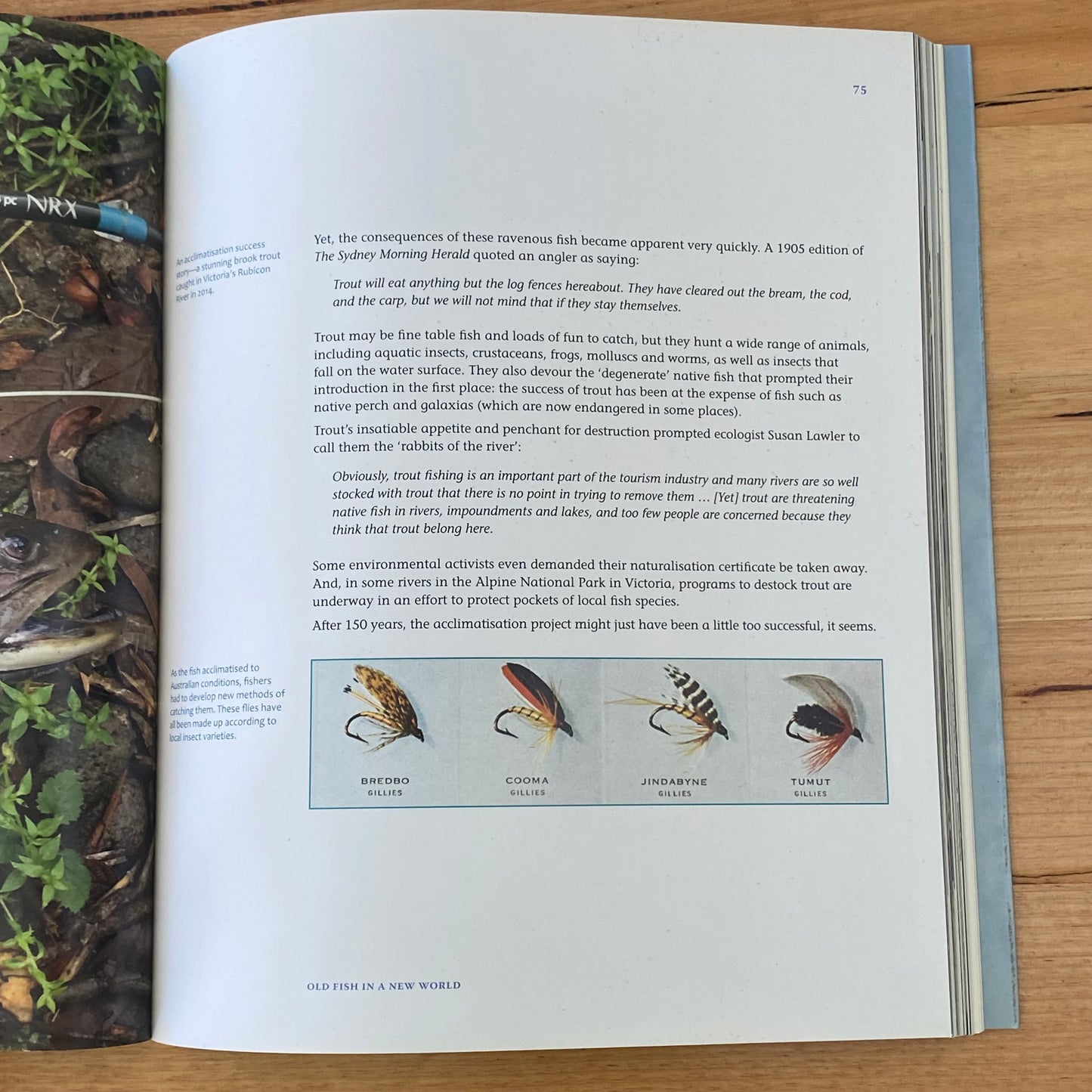 The Catch The Story of Fishing in Victoria Anna Clark Paperback 2017 GD