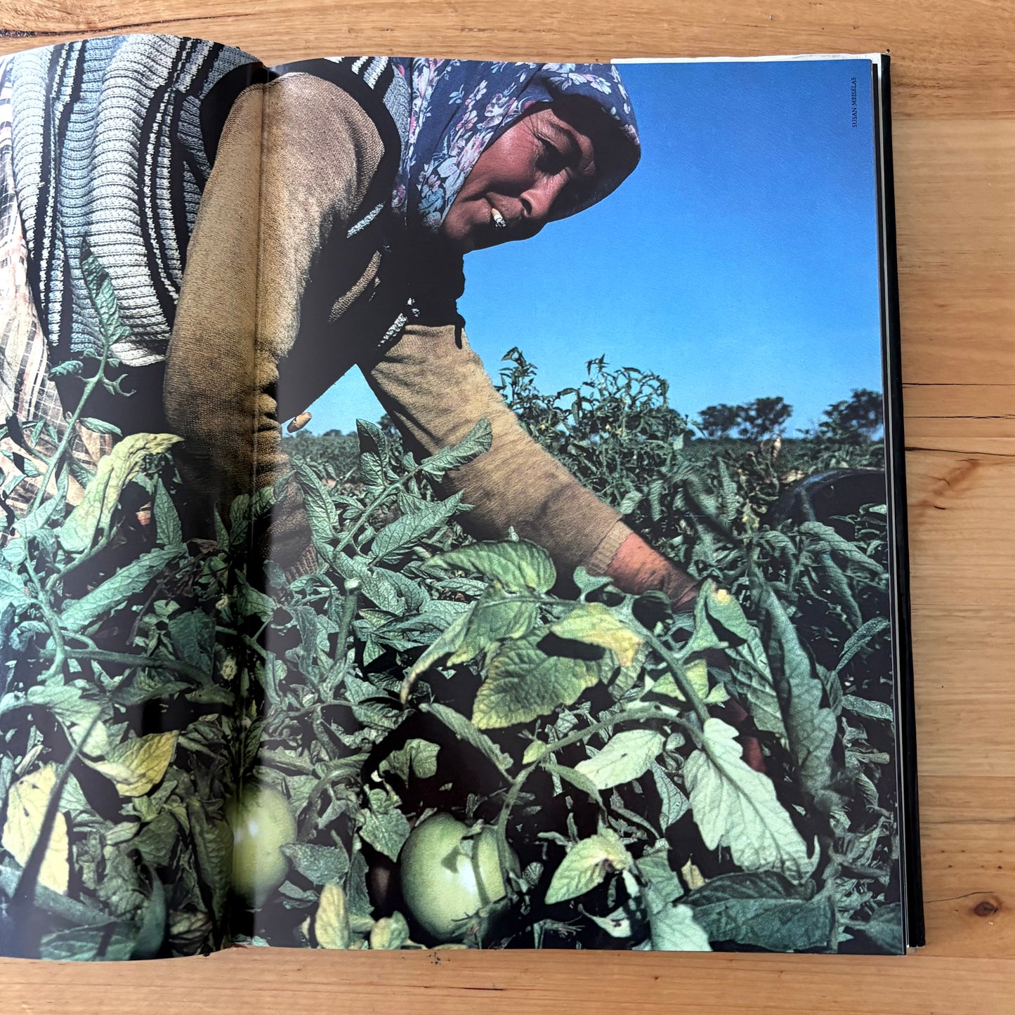 A Day In The Life Of Australia Rick Smolan Hardcover 1981