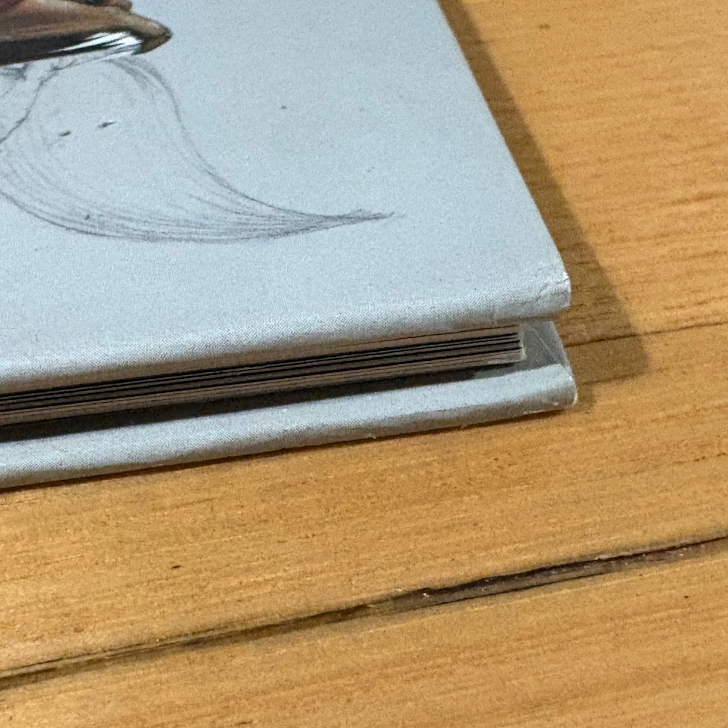 Dreamwalker by Isobelle Carmody and Steven Woolman Hardcover Illustrated GD