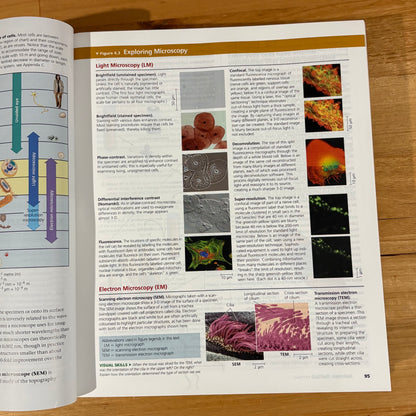 Campbell Biology AUS and NZ Version 11th Edition Lisa A. Urry Hardcover GD