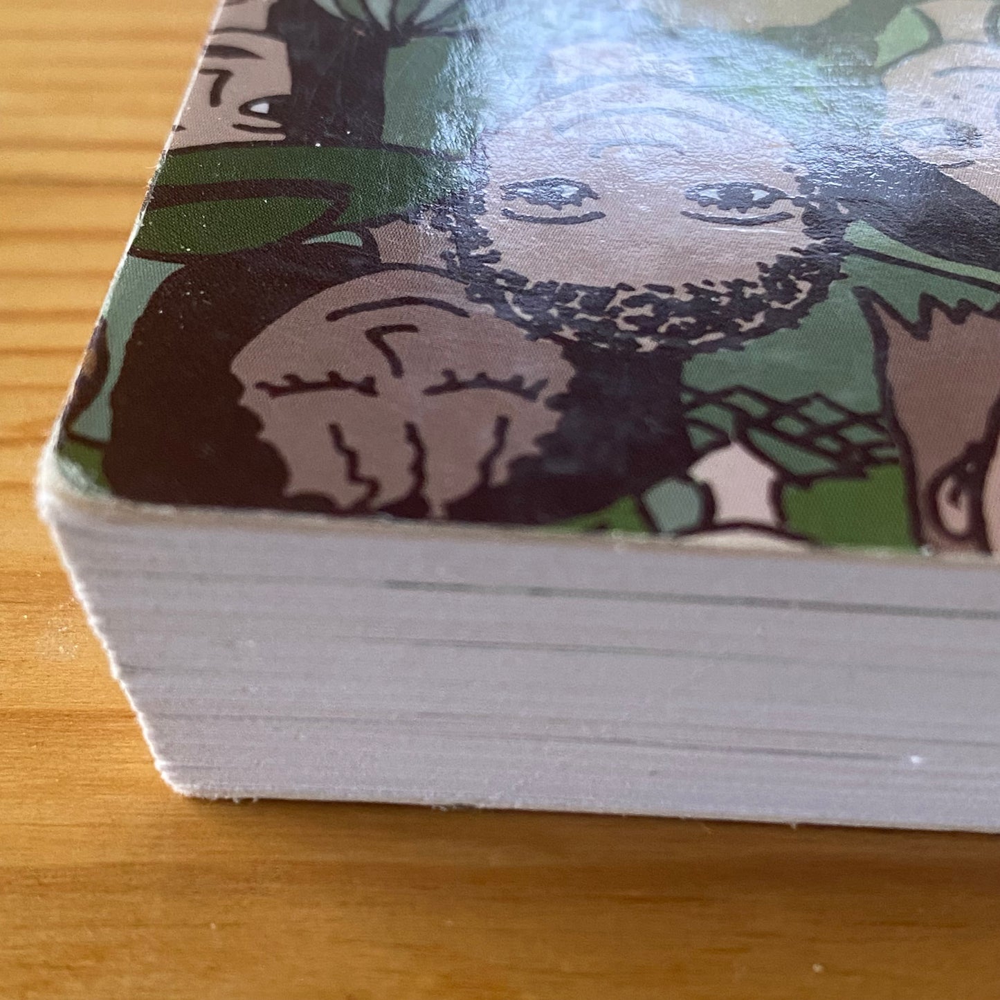 Understanding Sociological Theory For Educational Practices Second Edition Paperback GD