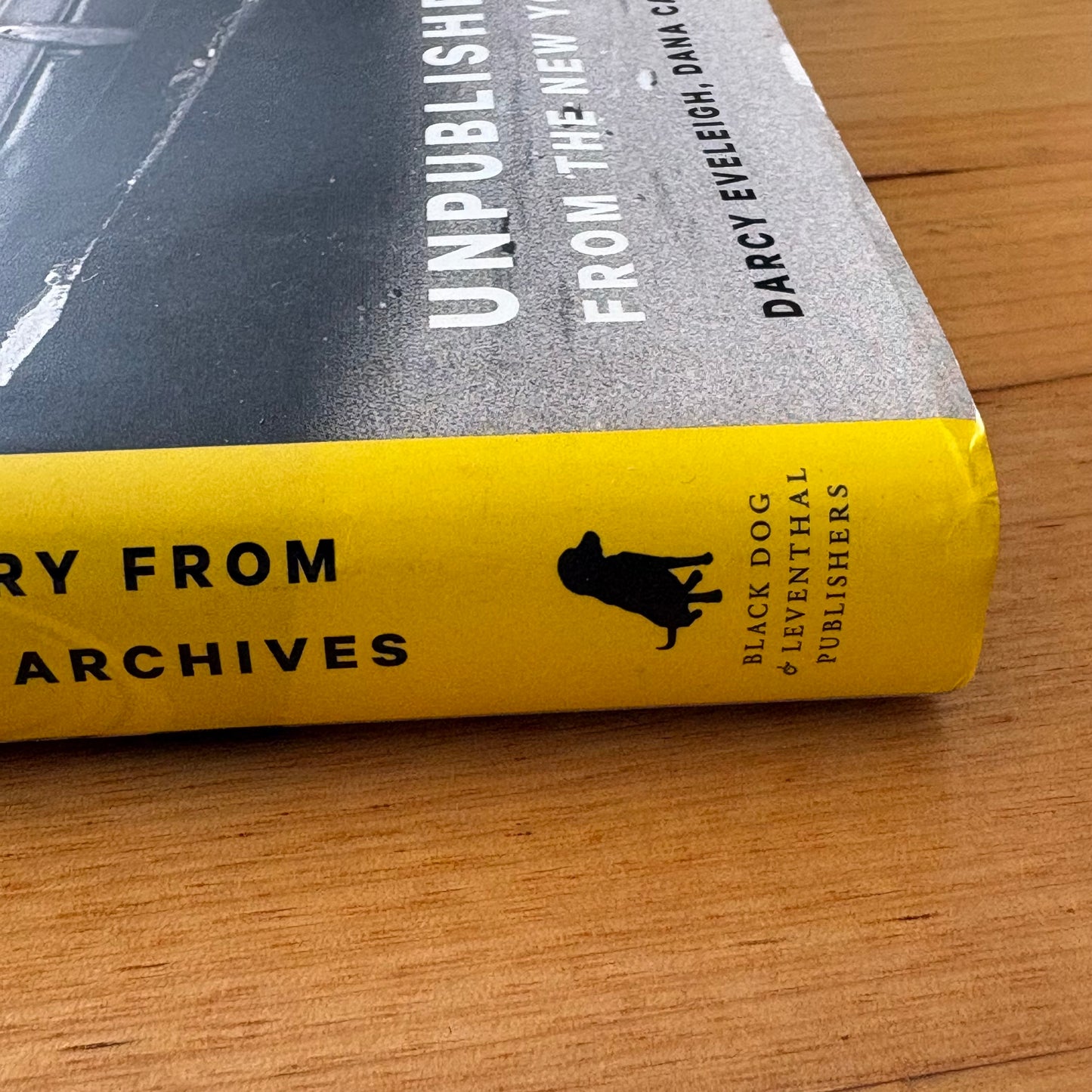 Unseen Unpublished Black History New York Times Hardcover 2017 GD