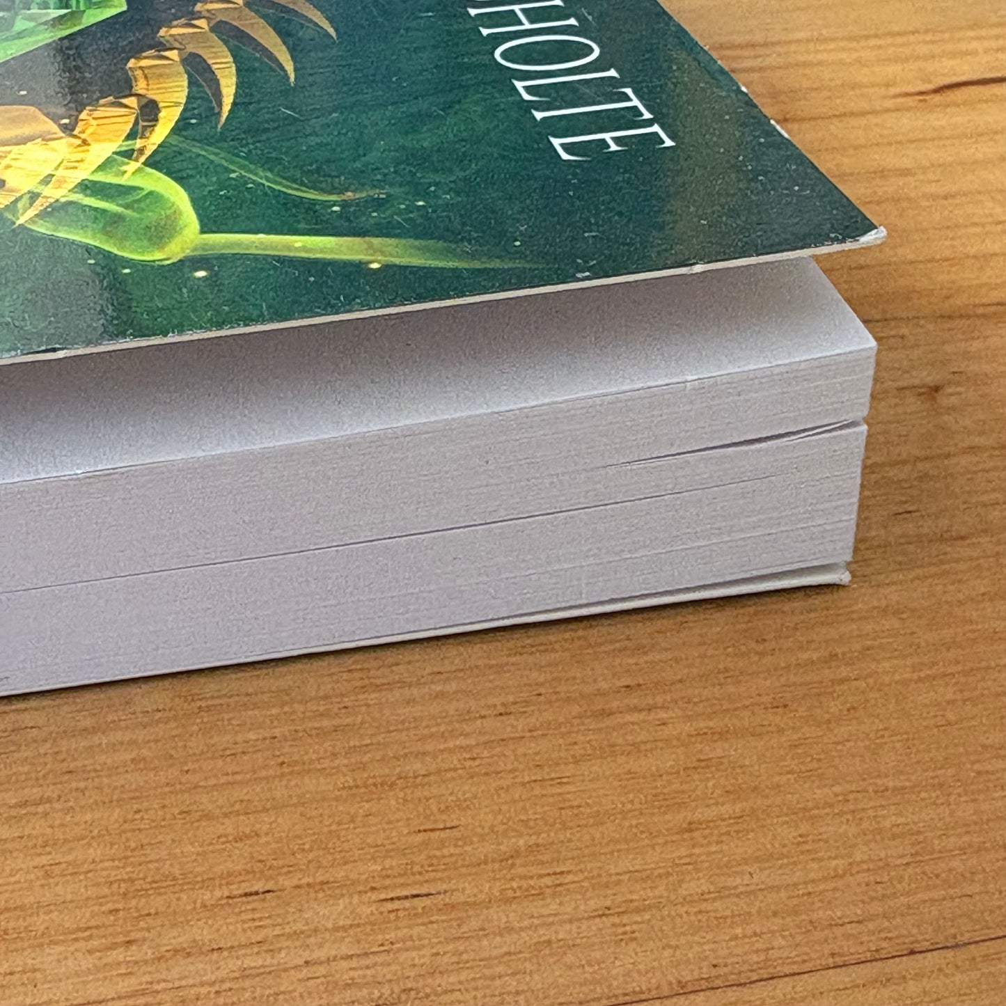 The Beginning Of The End Adam J. Scholte Fantasy Paperback 2022 GD