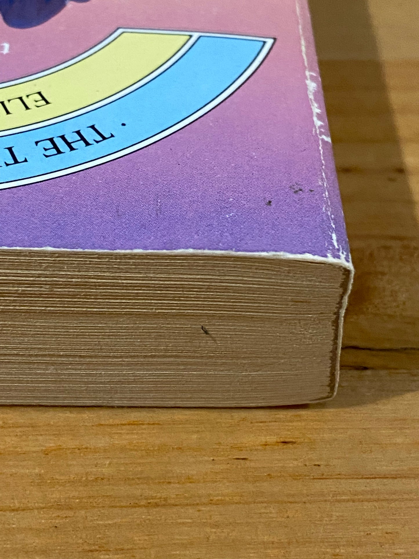 The Troll's Grindstone by Elizabeth H Boyer Paperback 1987 GD