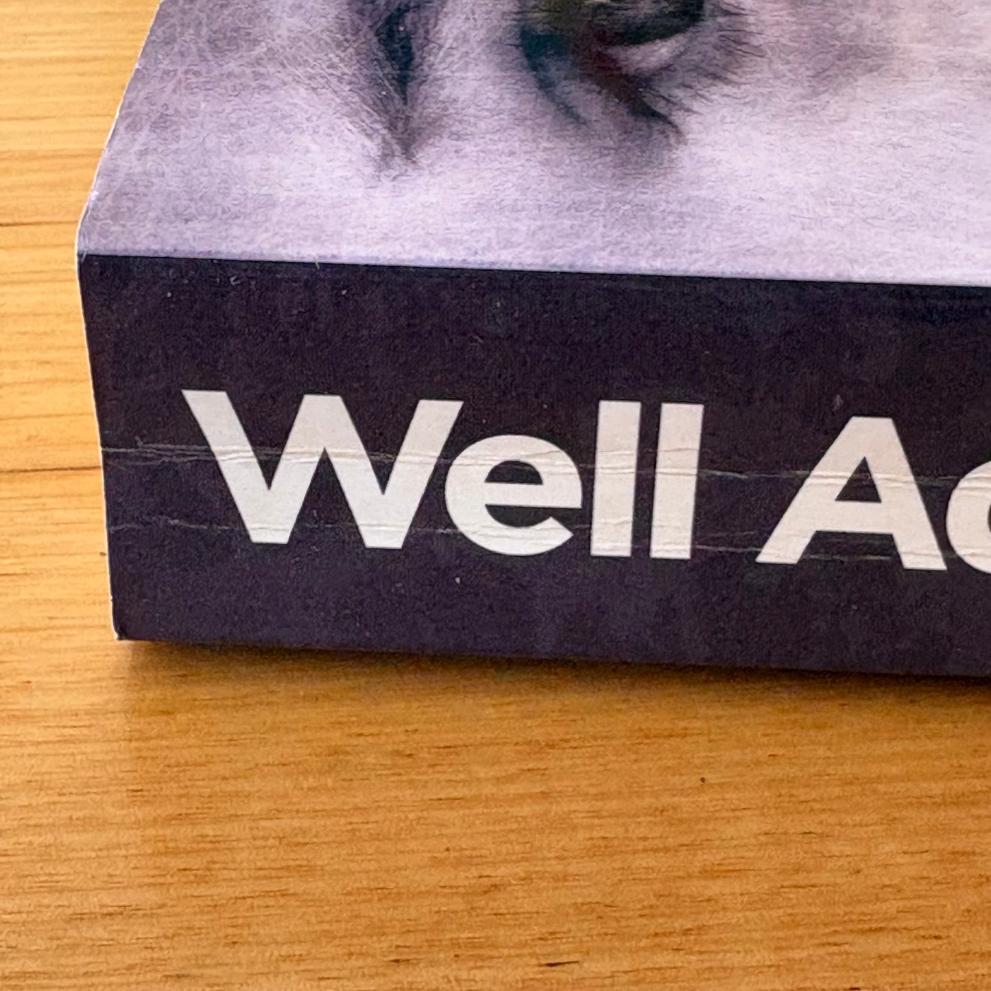 Well Adjusted Babies by Dr Jennifer Barham-Floreani Paperback 2009 GD