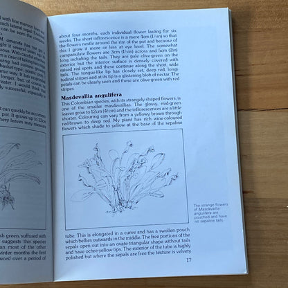 Intriguing Masdevallias Cool Growing Orchids by Jo Kelleher Paperback 1984 GD