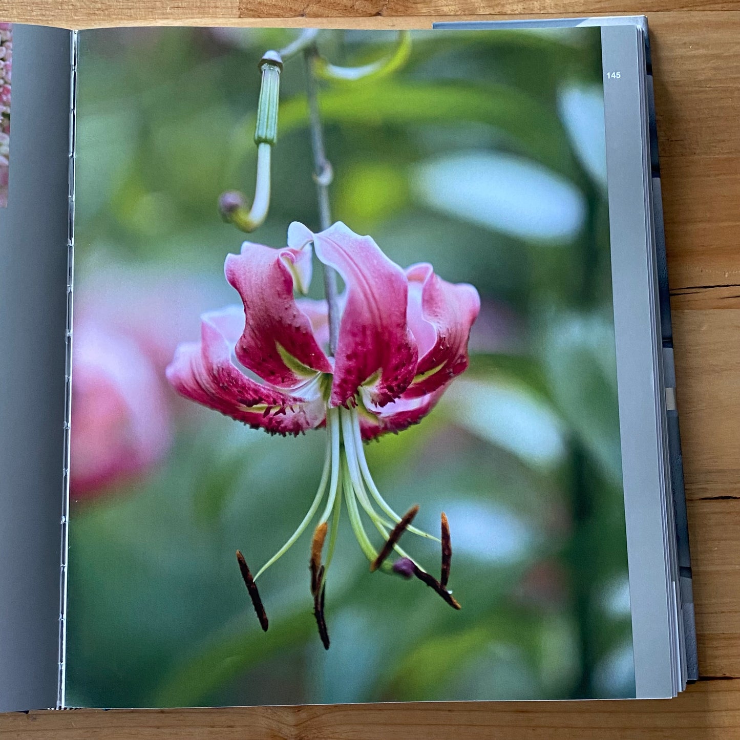 True Form Creating Contemporary Gardens by Peter Fudge Hardcover 2010 GD