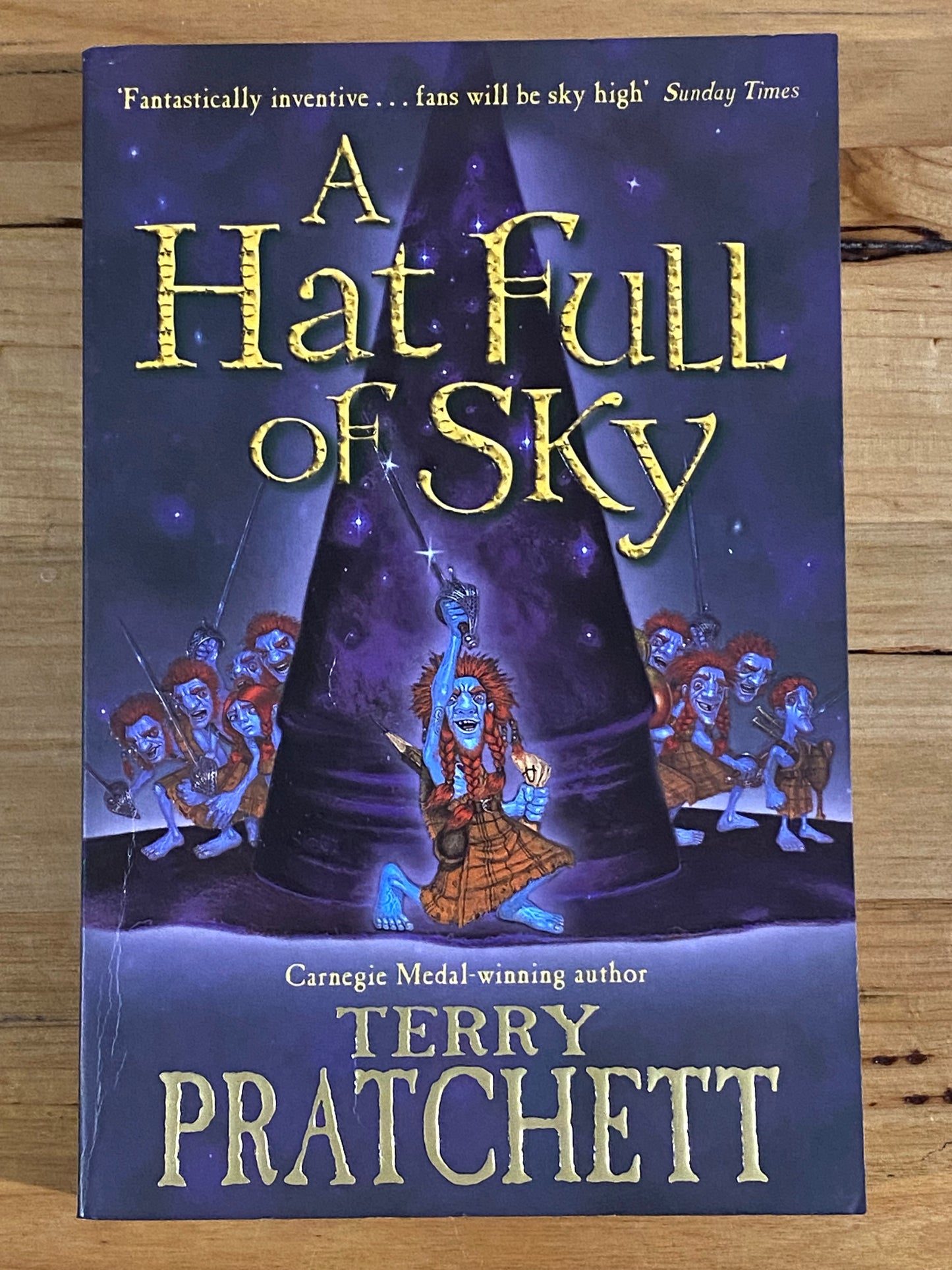 A Hatful Of Sky A Discworld Novel by Terry Pratchett Paperback 2004 GD