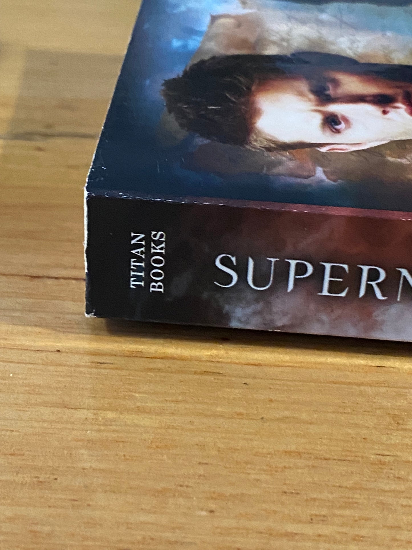 Supernatural War Of The Sons by Rebecca Dessertine & David Reed Paperback 2010 GD