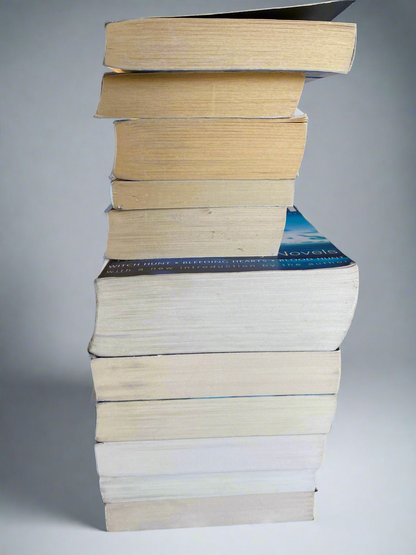 Bundle of 11 Ian Rankin novels Good condition