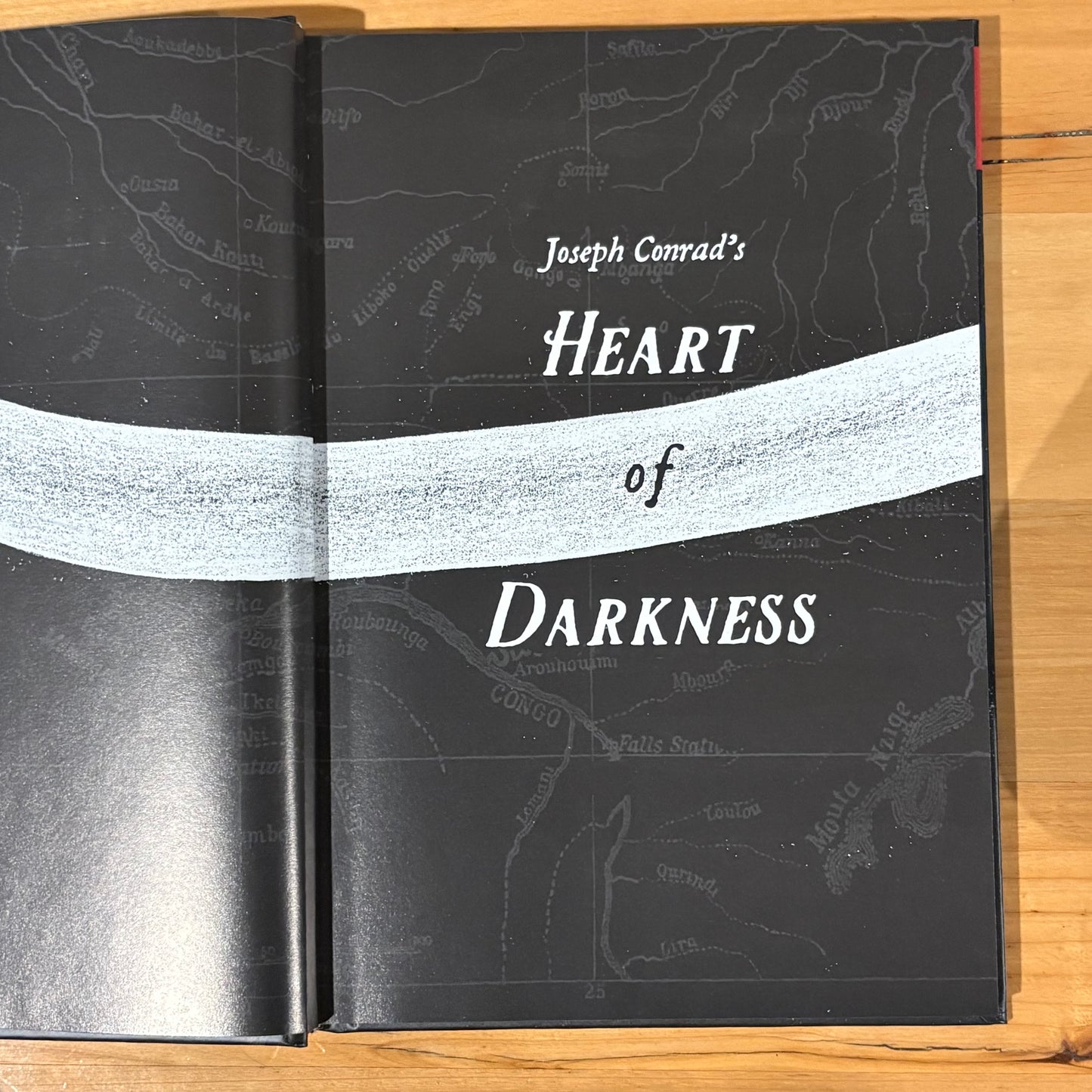 Heart of Darkness by Joseph Conrad Graphic Novel Hardcover GD