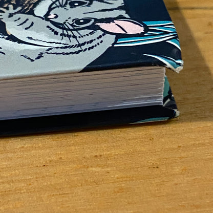 Rewilding Kids Australia Melissa Mylchreest A Mindful Activity Book Paperback 2022 GD