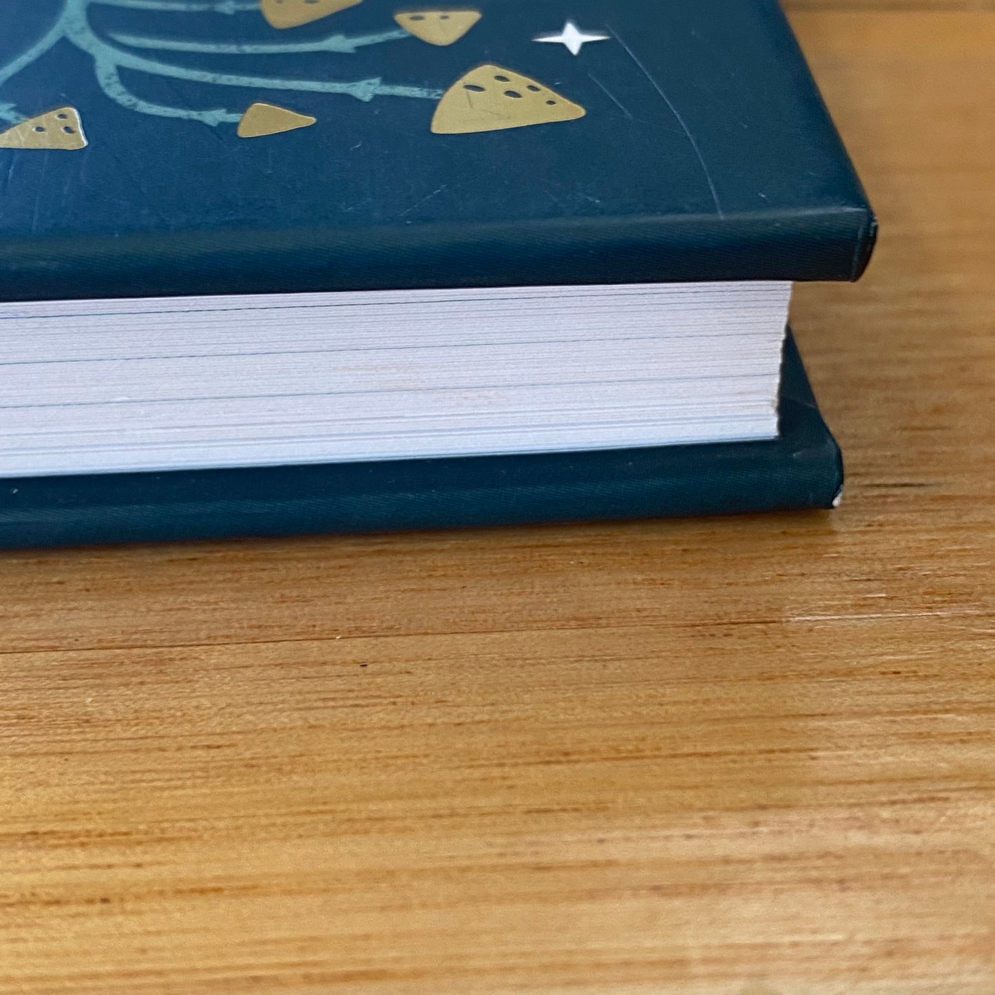 The Mystical Year Folklore, Magic & Nature by Alison Davies Hardcover GD