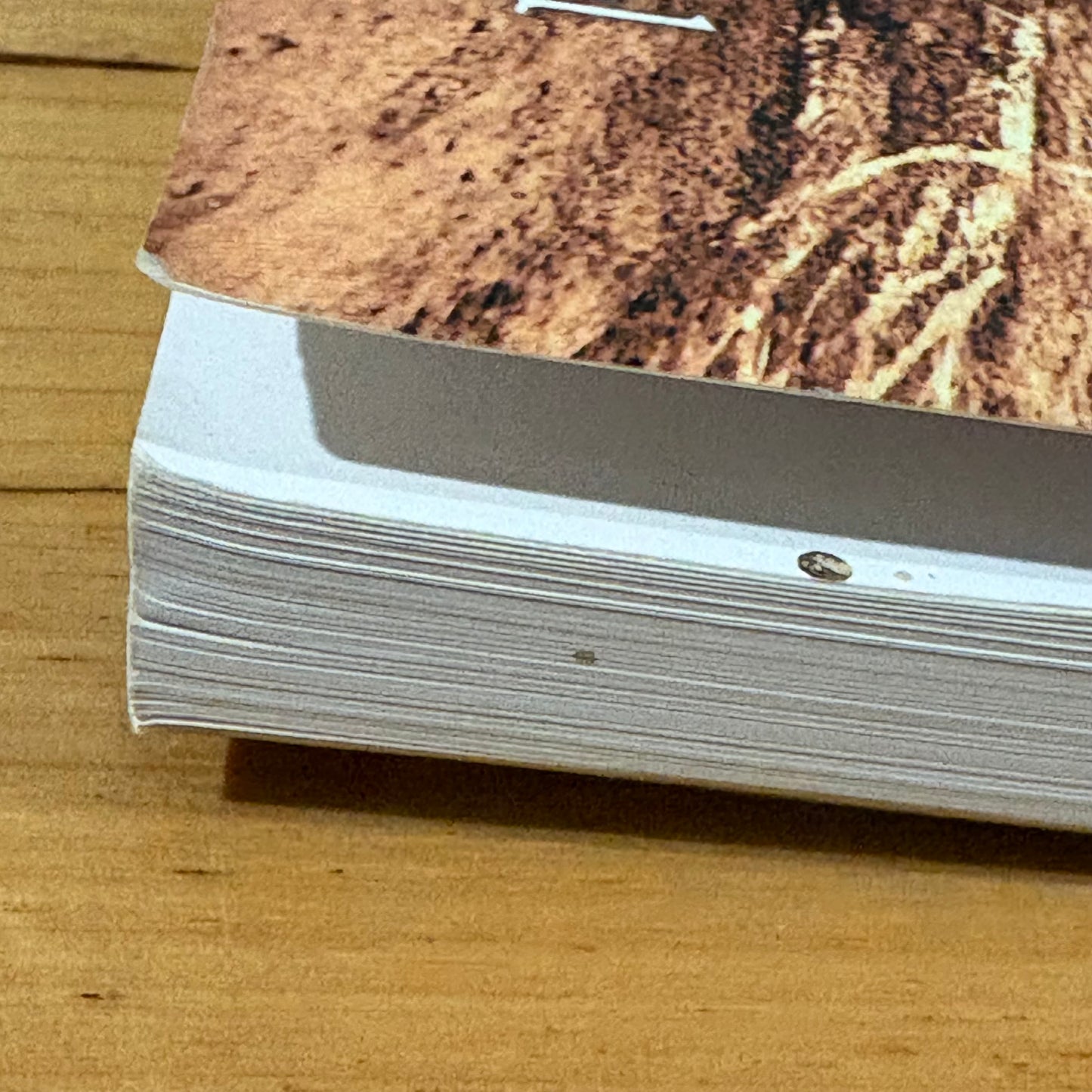 1857 Year Of Hope In The Colac District Dawn Peel Paperback 2006 GD