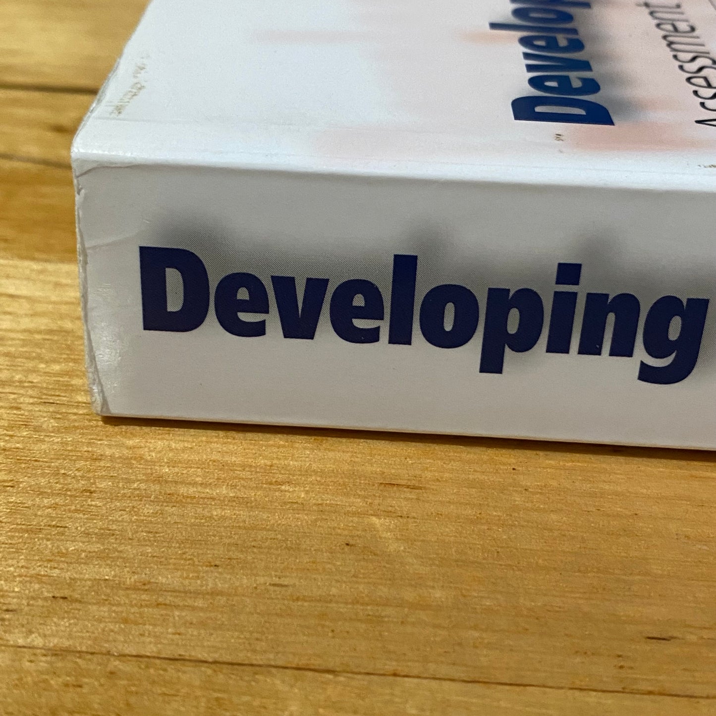 Developing Early Literacy Assessment and Teaching by Susan Hill Paperback 2nd Ed GD