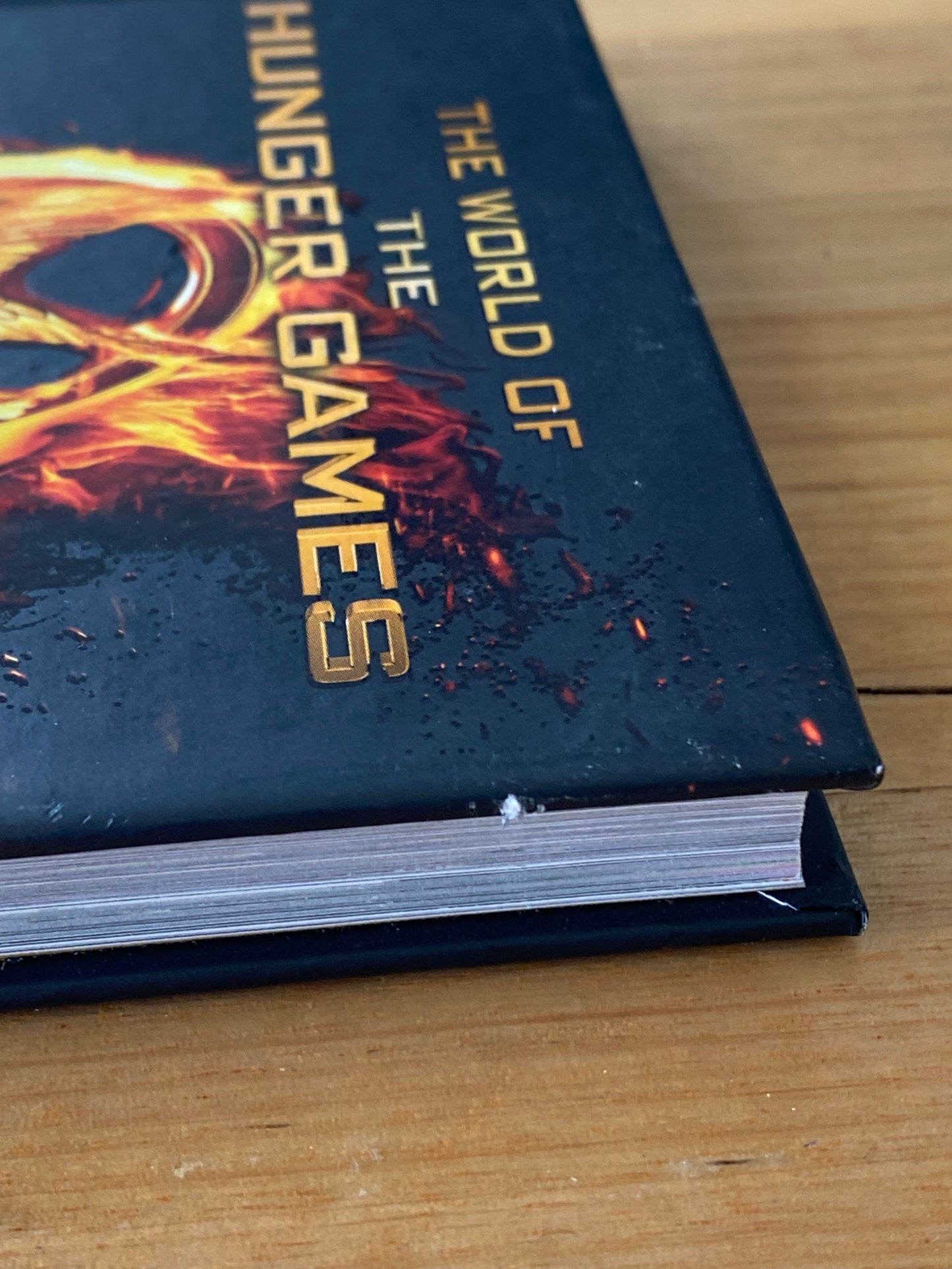 The World Of The Hunger Games 2012 Hardcover GD