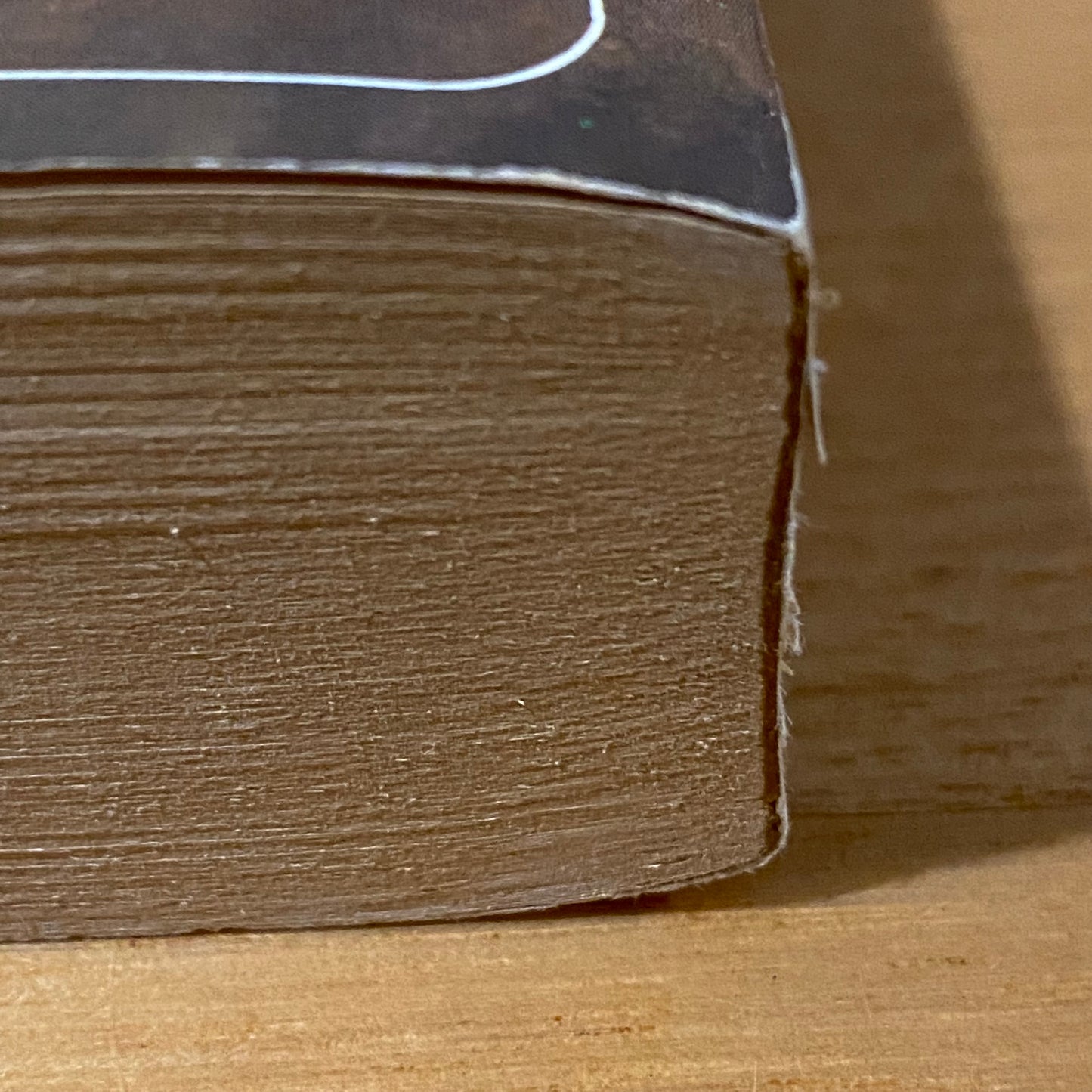 Camber The Heretic by Katherine Kurtz Paperback 1981 GD