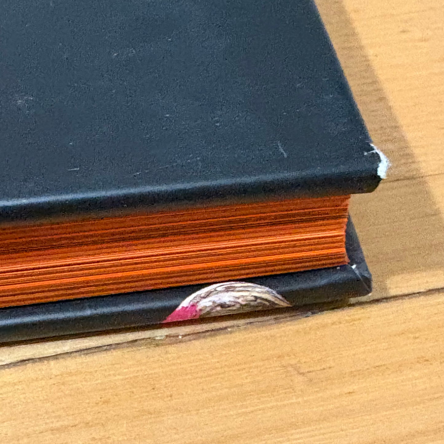 T2 The Book by Maryanne Shearer Story Behind The Brand Hardcover GD