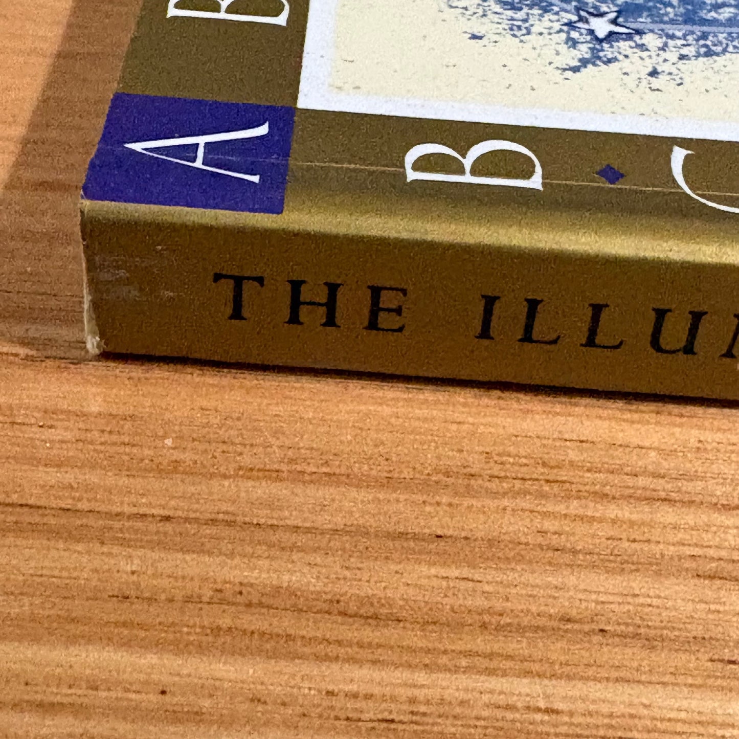 The Illuminated Alphabet by Timothy Noan Paperback Calligraphy 1994 GD