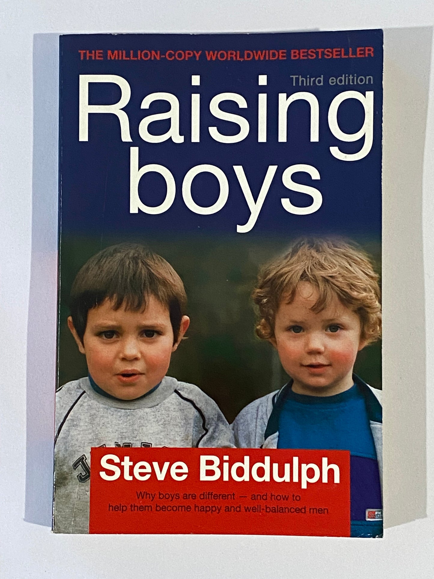 Steve Biddulph 3 Book Bundle Manhood Raising Boys VGC