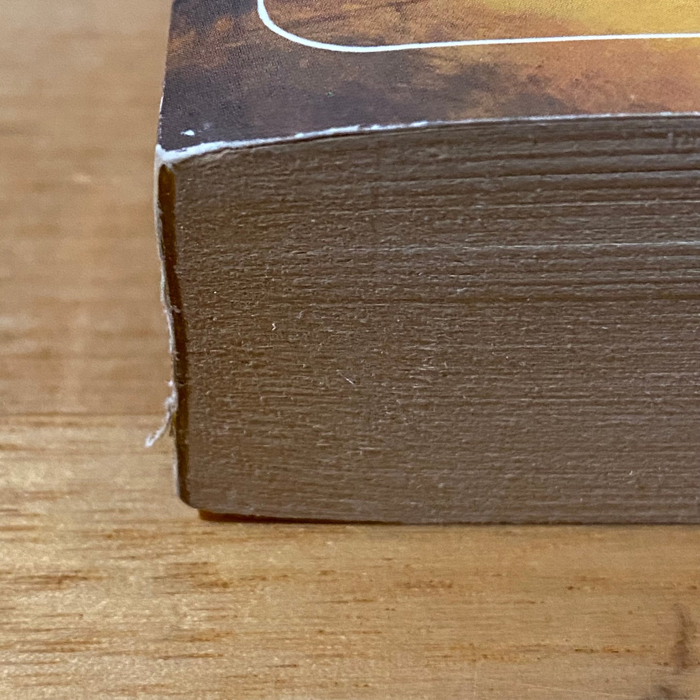 Camber The Heretic by Katherine Kurtz Paperback 1981 GD