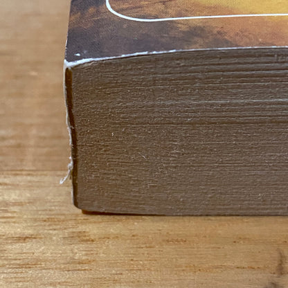 Camber The Heretic by Katherine Kurtz Paperback 1981 GD