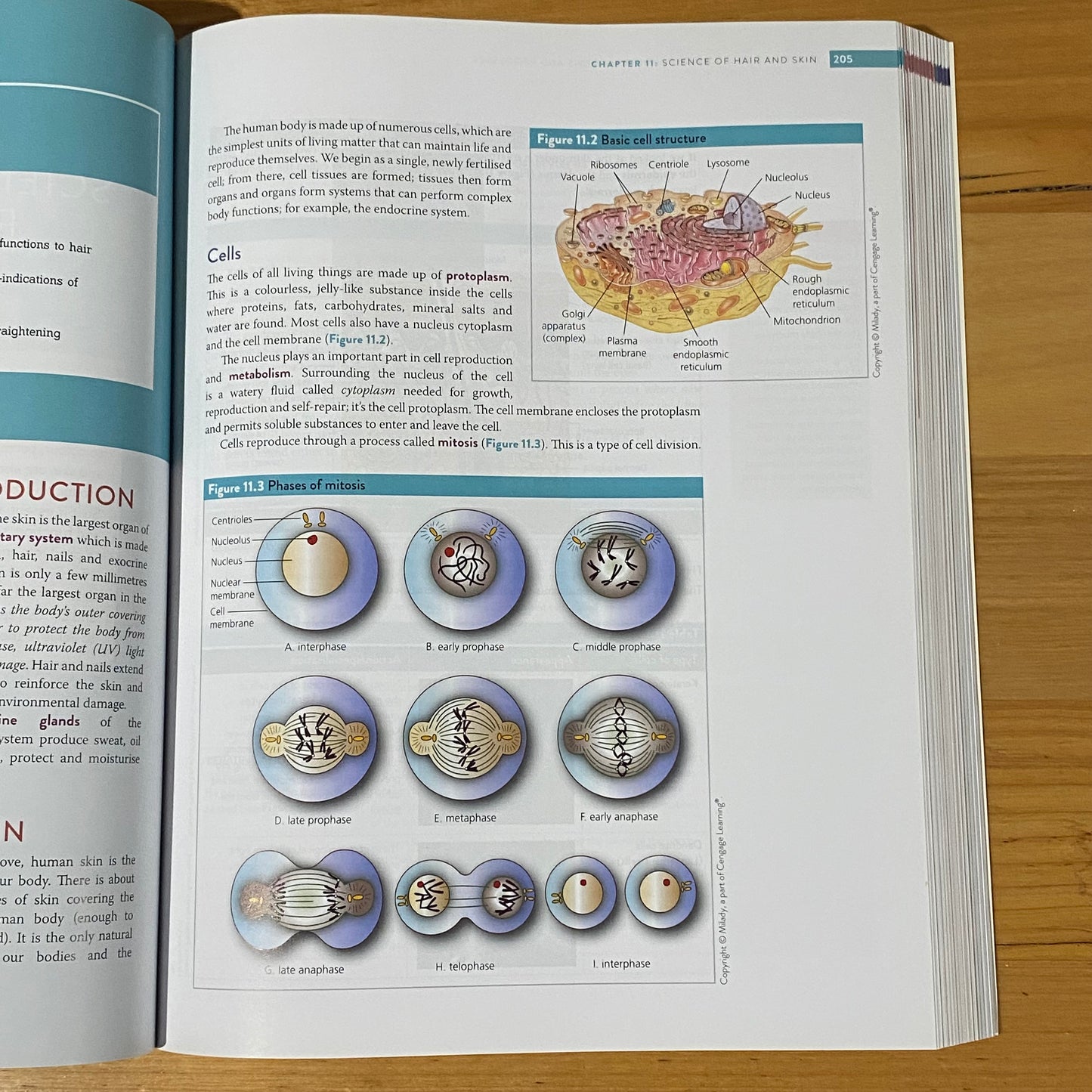 Professional Hairdressing & Barbering Australia and NZ 2nd Edition 2019 GD