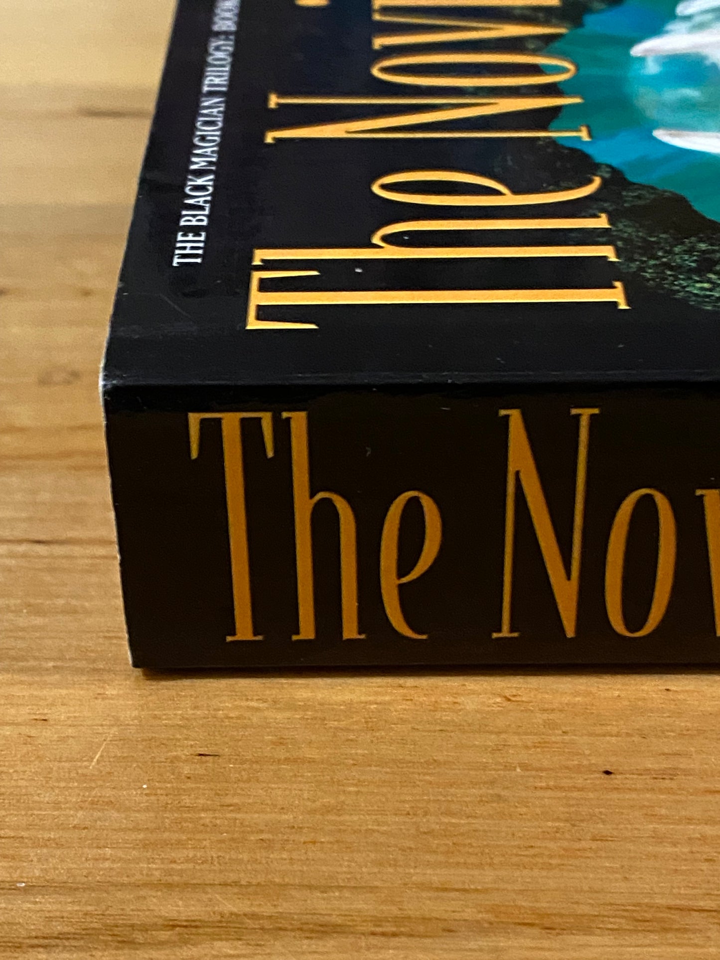 The Novice by Trudi Canavan Black Magician Trilogy Part 2 Paperback 2002 VGC