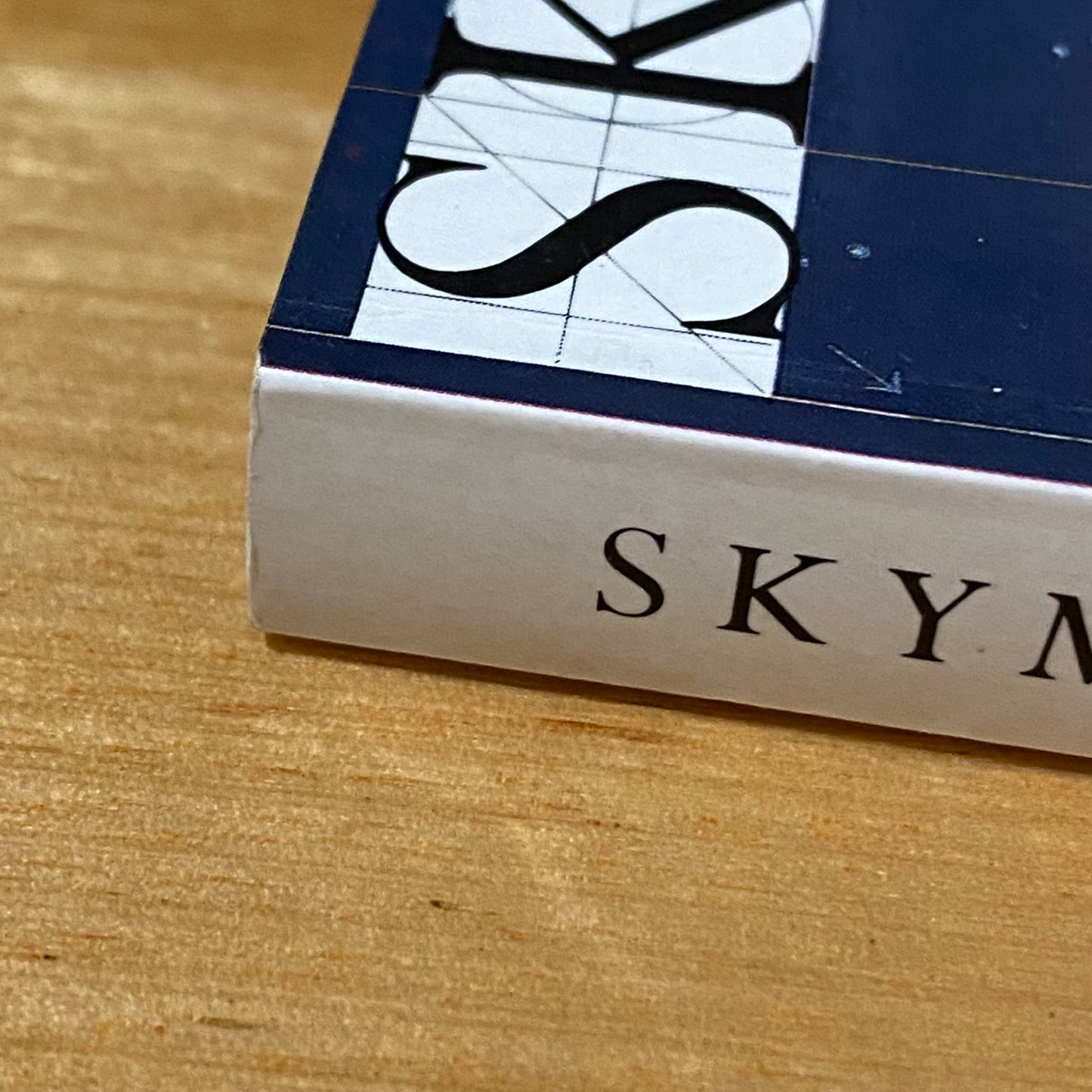 Skymaze by Gillian Rubinstein Science Fiction Paperback 1990 GD