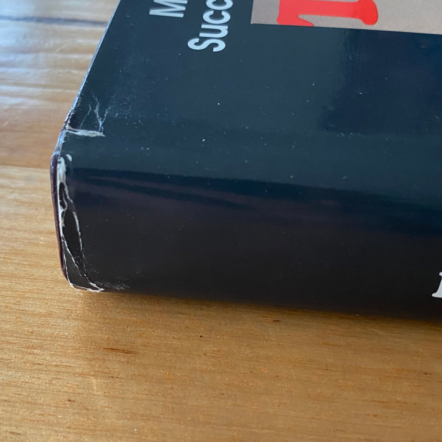 The Edge by Howard E.Ferguson Hardcover 1991 GD