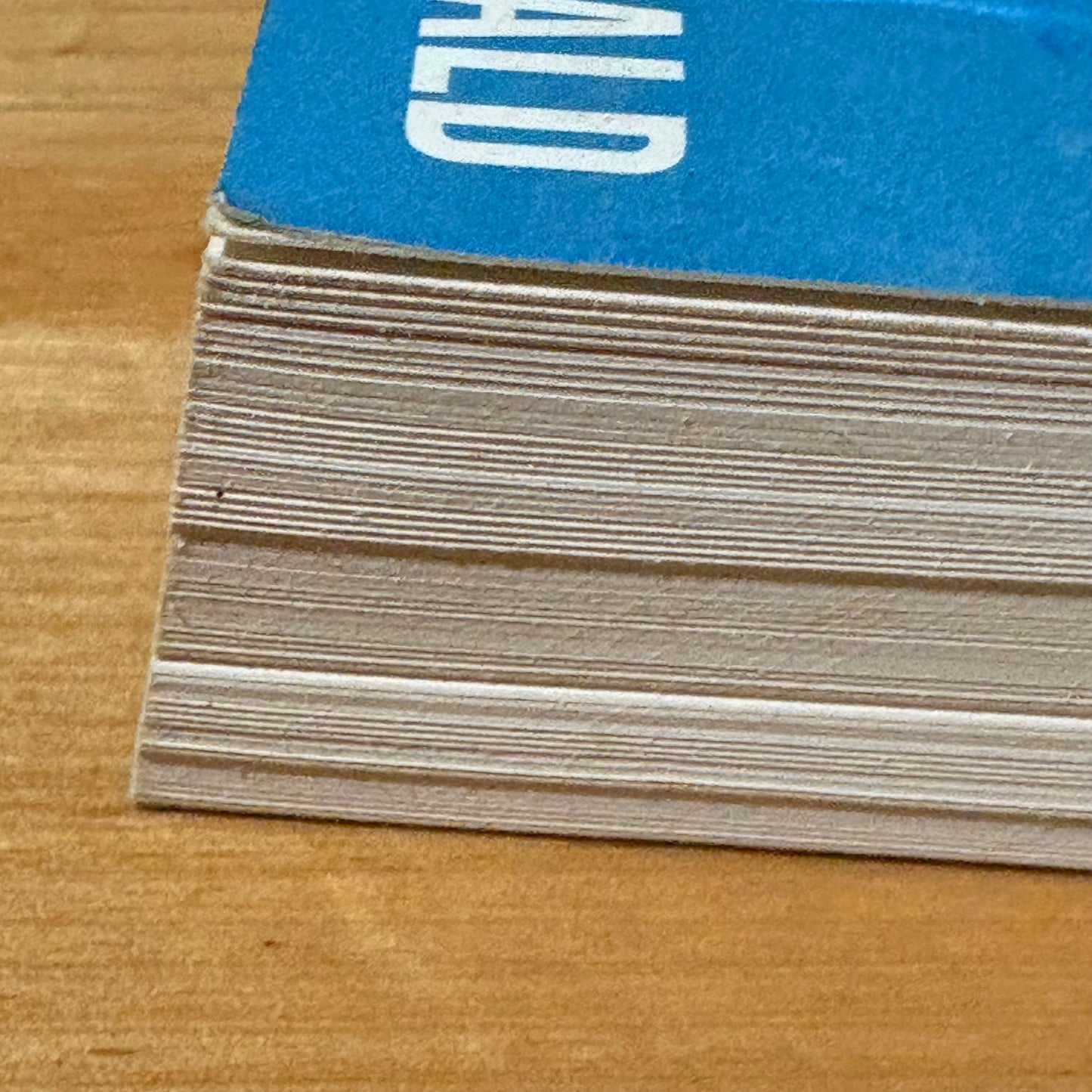 Surf By Day, Jam By Night by Ash Grunwald Music and Surfing 2019 GD