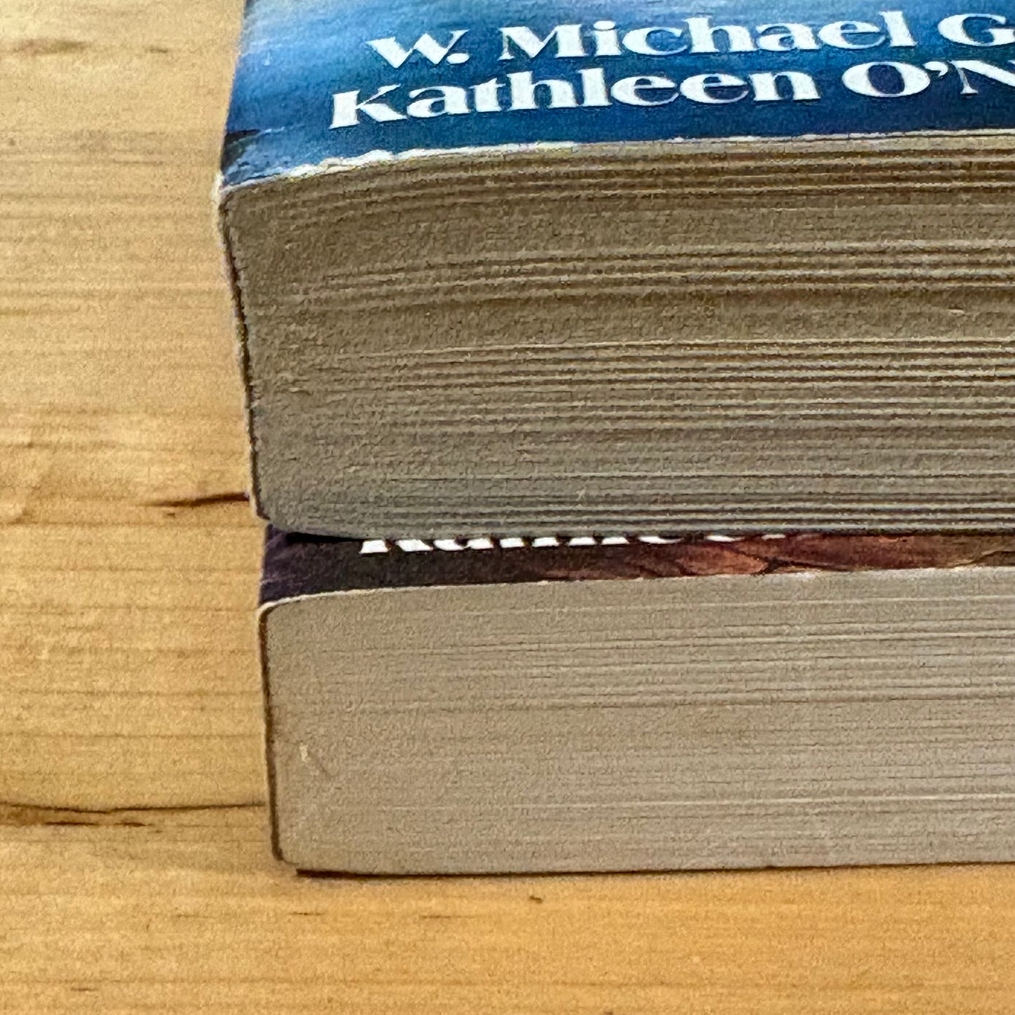 People Of The Fire & The River Michael Gear and Kathleen O'Neill Gear Paperback x 2