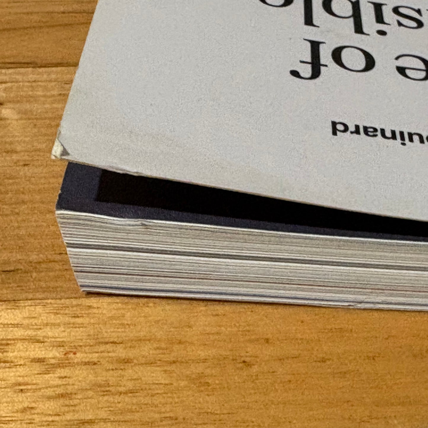 The Future Of The Responsible Company Patagonia 2023 Paperback GD