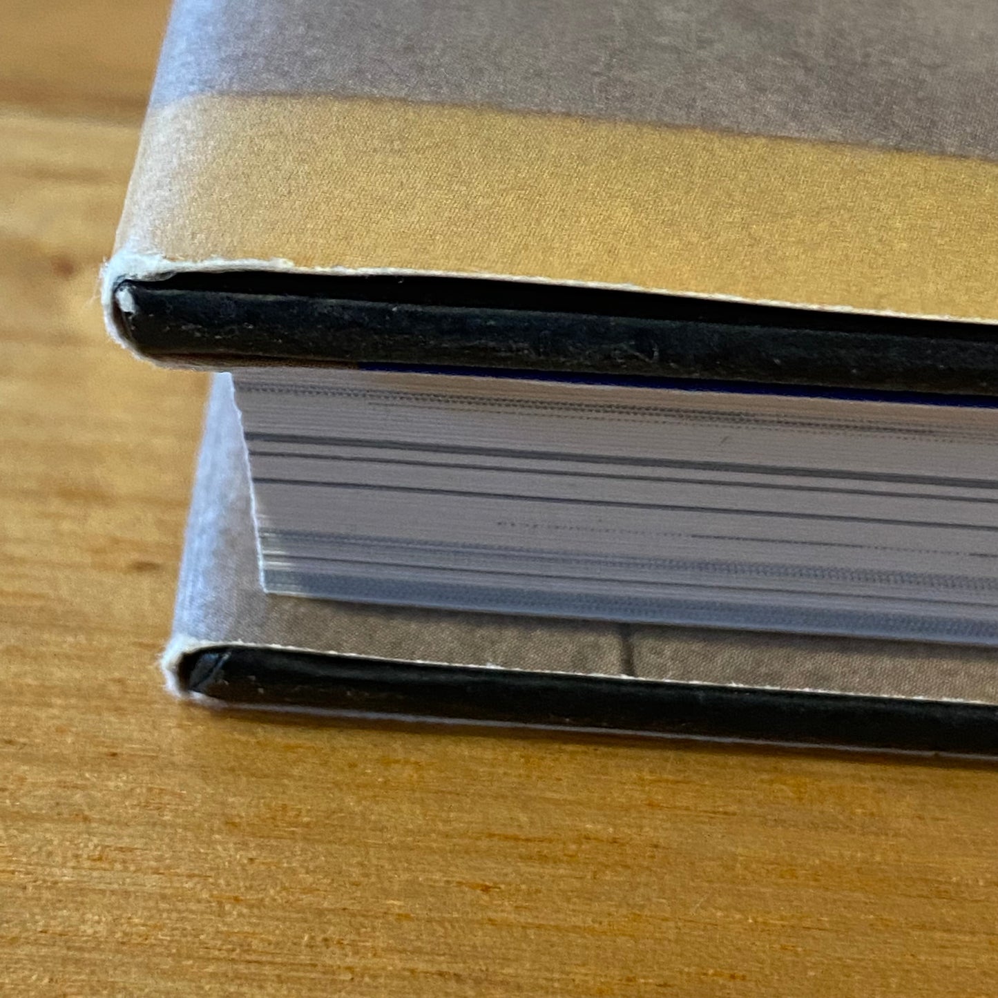 Lemony Snicket: The Unauthorised Biography 1st Print Hardcover 2003 GD