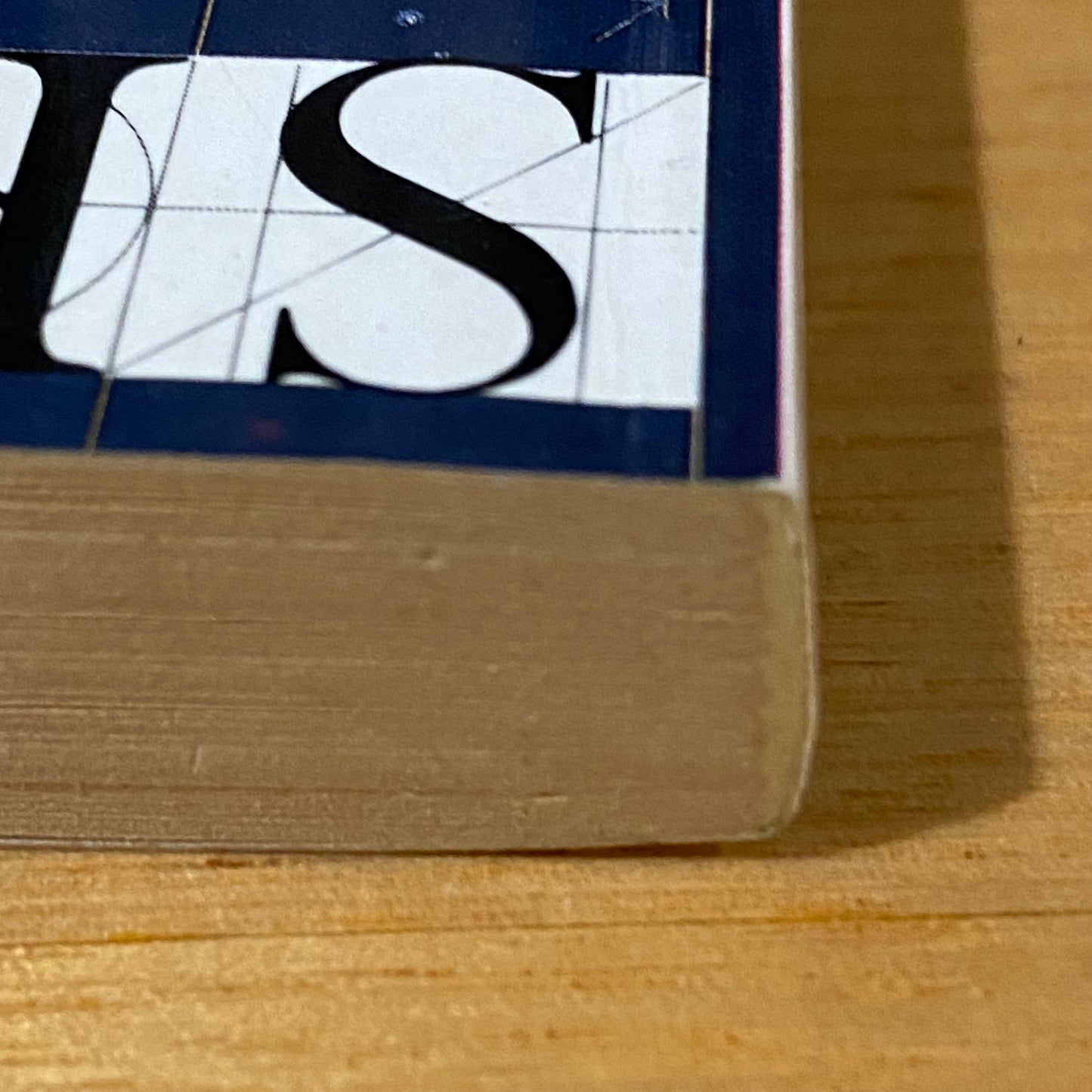 Skymaze by Gillian Rubinstein Science Fiction Paperback 1990 GD