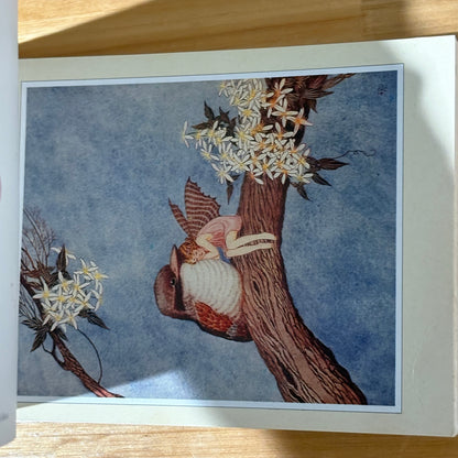 Fairy Postcard Book by Ida Rentoul Outhwaite Vintage GD