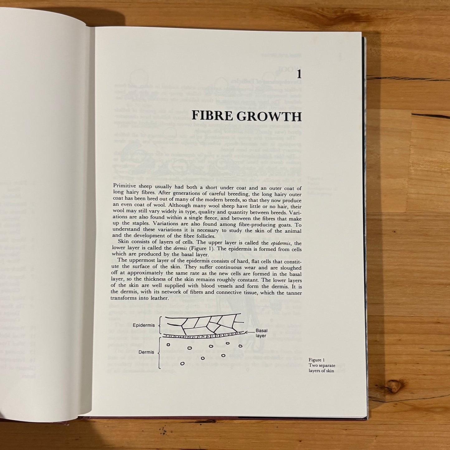 Wool and Mohair Producing Better Natural Fibres Hardcover 1979 GD