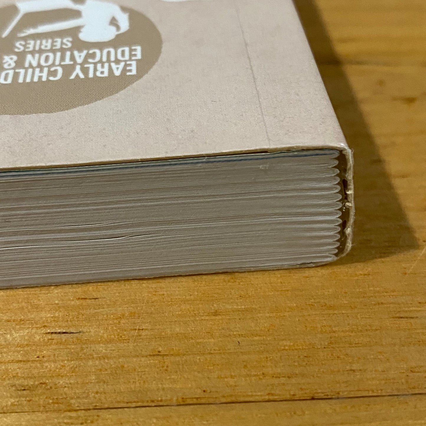 The Big Picture by Karen Kearns 4th Edition Paperback GD