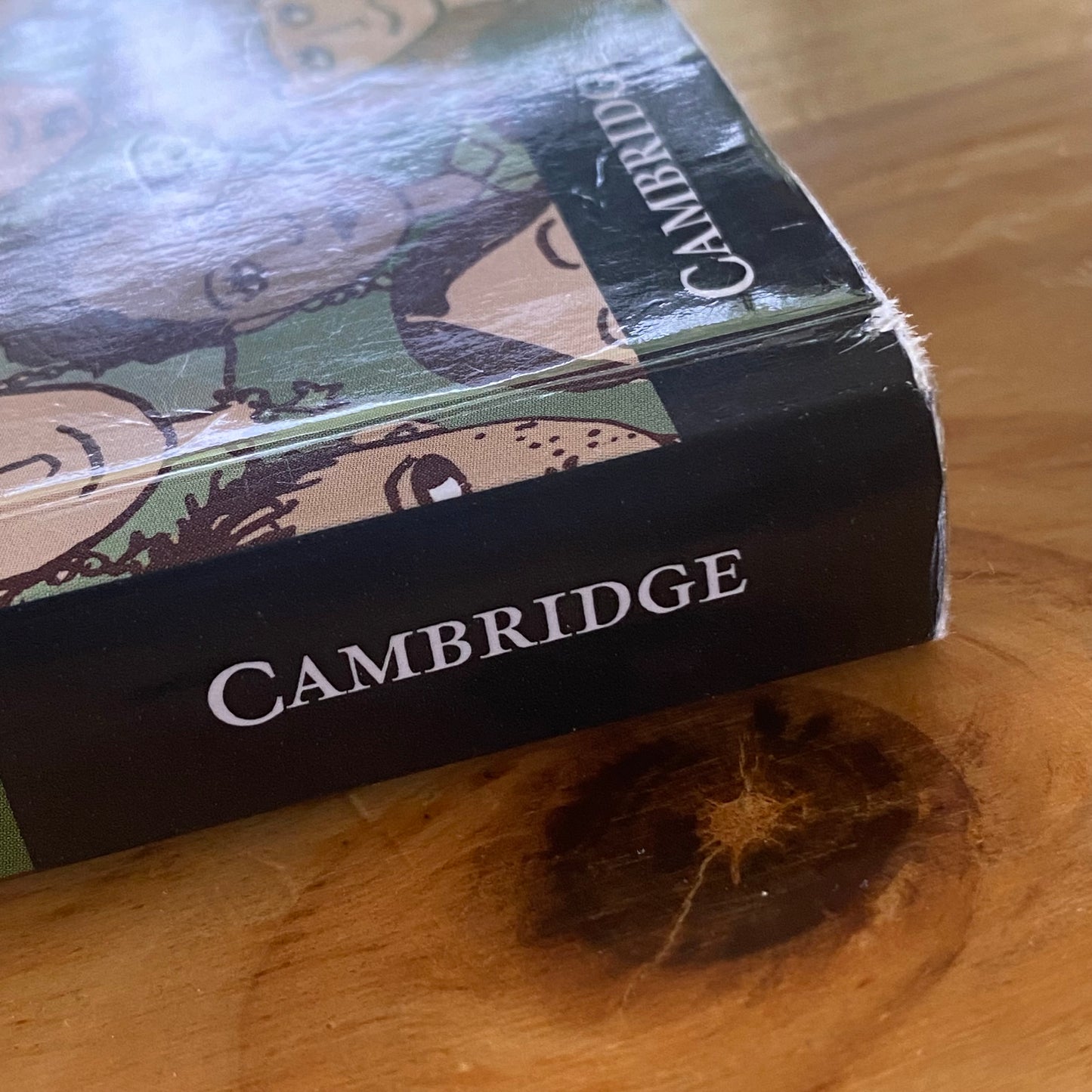 Understanding Sociological Theory For Educational Practices Second Edition Paperback GD