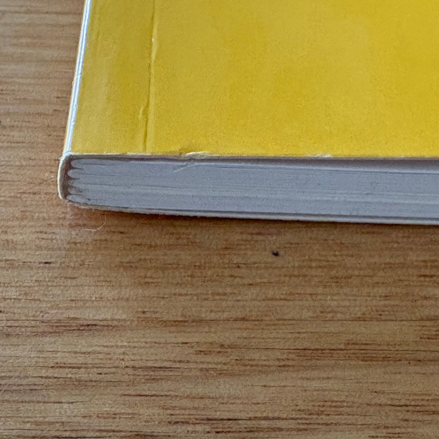 On Talking Terms With Dogs: Calming Signals by Turid Rugaas Paperback GD