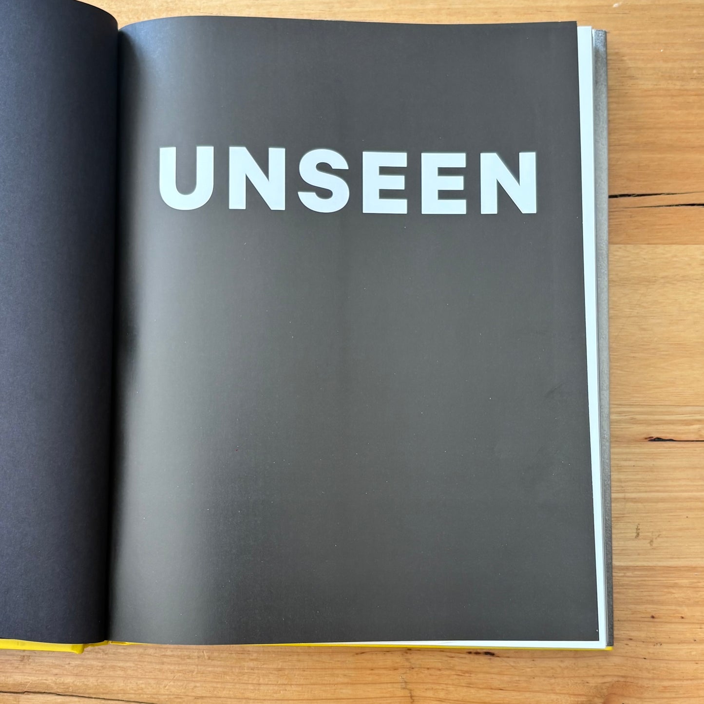 Unseen Unpublished Black History New York Times Hardcover 2017 GD