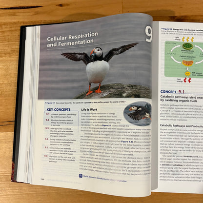 Campbell Biology AUS and NZ Version 11th Edition Lisa A. Urry Hardcover GD