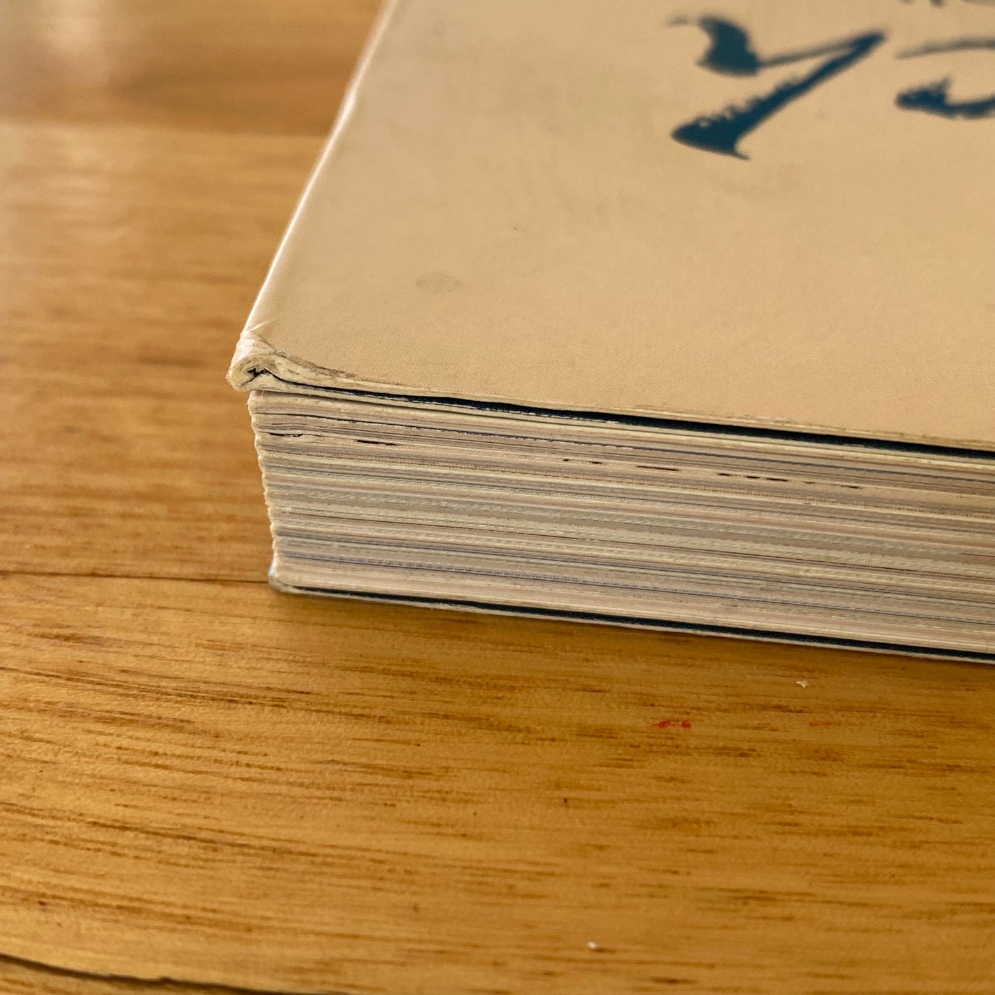 The Catch The Story of Fishing in Victoria Anna Clark Paperback 2017 GD