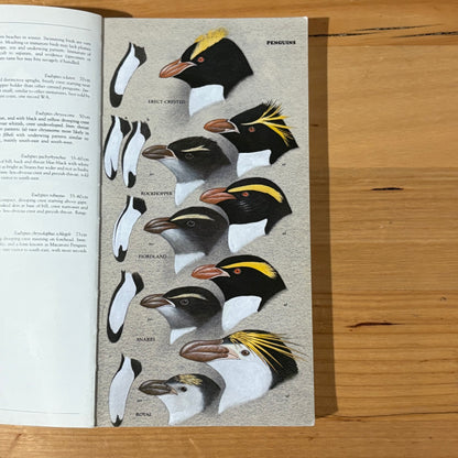 The Slater Field Guide To Australia Birds Revised Edition Paperback 1991 GD